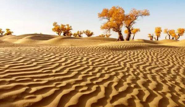 �V���@�^�N���}�J������