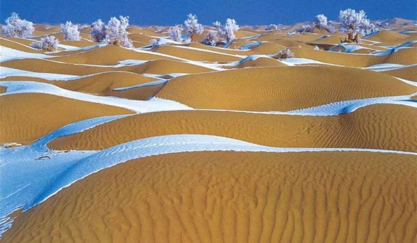 �V���@�^�N���}�J������