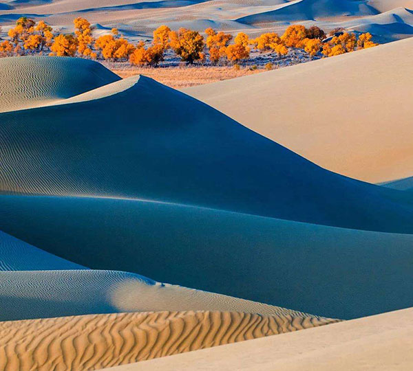 �V���@�^�N���}�J������