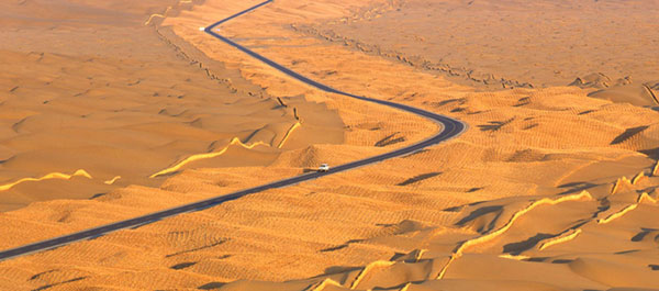 �V���@�^�N���}�J������