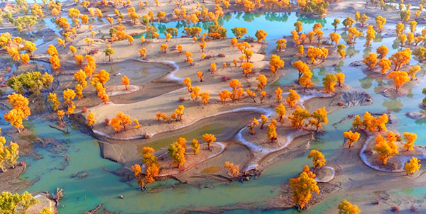 �V���@�^�N���}�J������