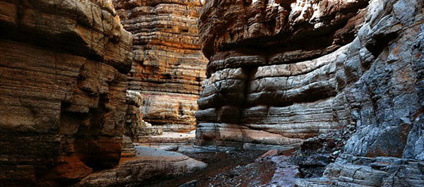 �J�V���K���V��勬�J