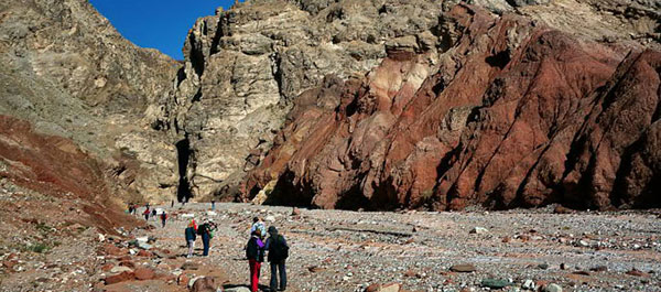 �J�V���K���V��勬�J