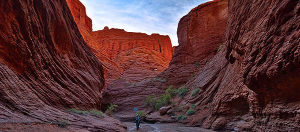 �N�`���@�V�R�_��勬�J