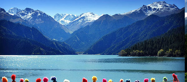 �E�����`�@�V�R�V�r�i�Ă񂴂�Ă񂿁j