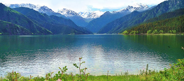 �E�����`�@�V�R�V�r�i�Ă񂴂�Ă񂿁j