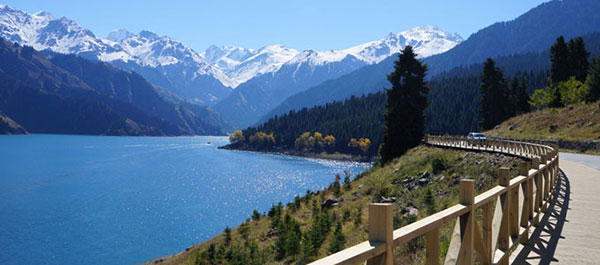 �E�����`�@�V�R�V�r�i�Ă񂴂�Ă񂿁j