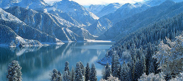 �E�����`�@�V�R�V�r�i�Ă񂴂�Ă񂿁j