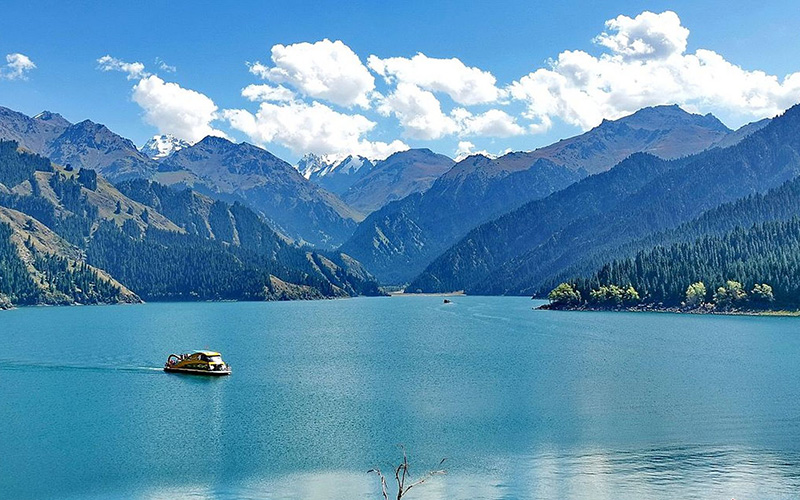 �V�d�E�����`�E�g���t�@���E�J�V���K���S���Ԋό��c�A�[