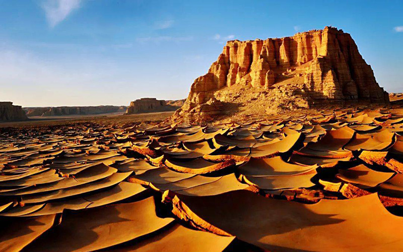 �u��C���v�V�d�E�����`�E�g���t�@���E�n�~�E���������A�T���Ԋό��c�A�[