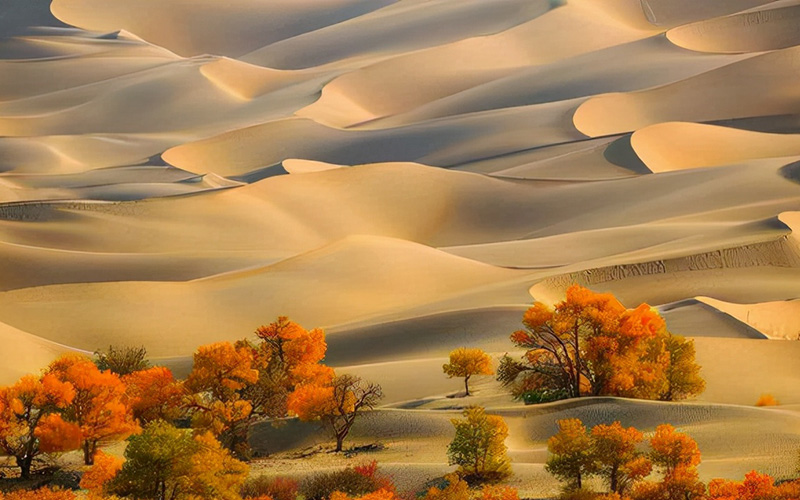 �V�d�^�N���}�J�������c�f�ƐV�d�V���N���[�h���V�W���Ԋό��c�A�[