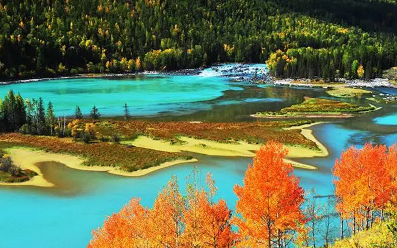 �V�d�E�����`�E�g���t�@���E�J�i�X�΂U���Ԋό��c�A�[