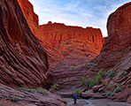クチャ　天山神秘大峡谷