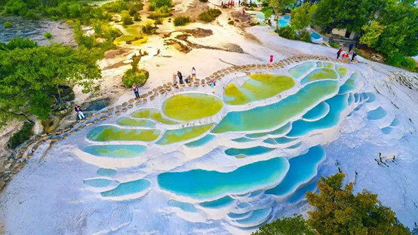 �V�����O���� ������