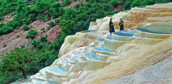 �V�����O���� ������