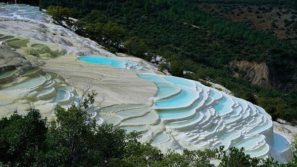 �V�����O���� ������