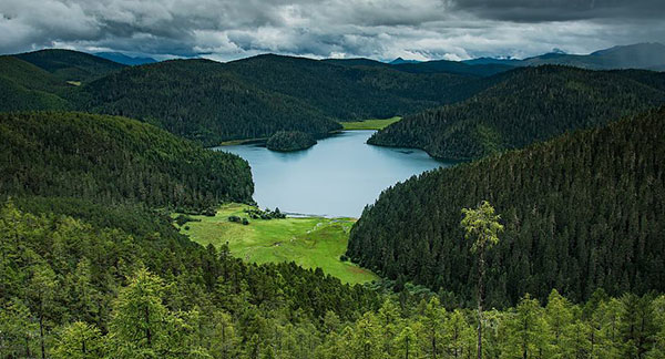 �V�����O���� �ɓ��C