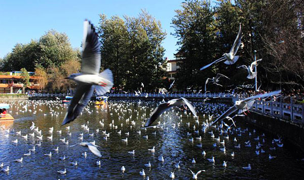 �����@���Ό���