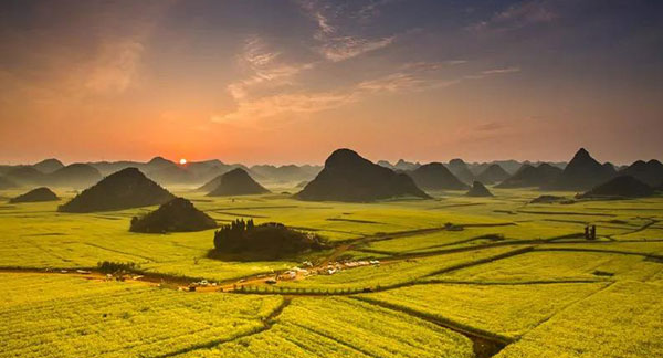 �����i��ւ��j�i�؂̉Ԕ��j