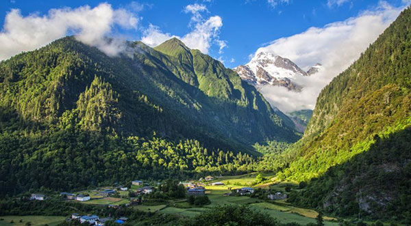 �~����R�i�΂��肹����)