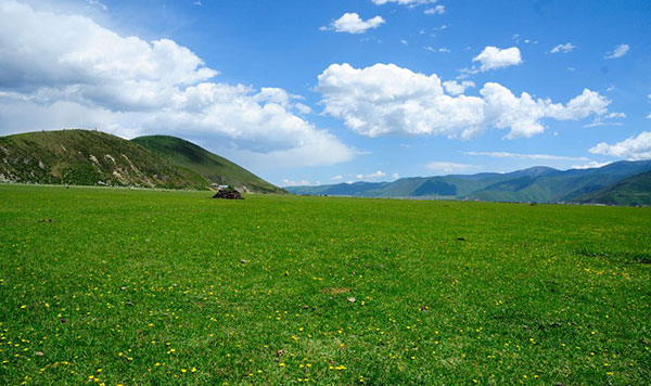 �V�����O���� �i�p�C