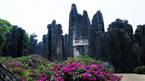 �����@�Ηсi�������j