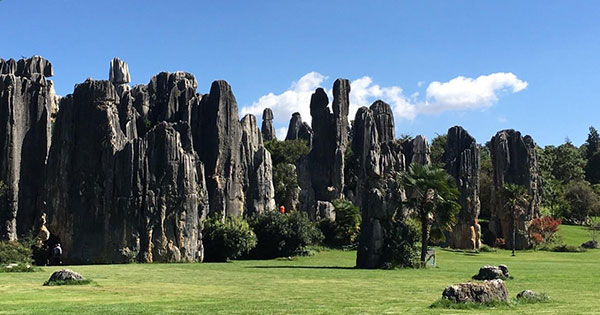 �����@�Ηсi�������j