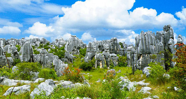 �����@�Ηсi�������j