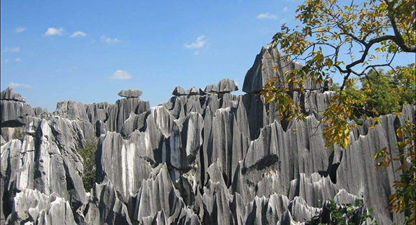 �����@�Ηсi�������j