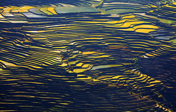 �_�� ���z�I�c�i����悤-���Ȃ��j