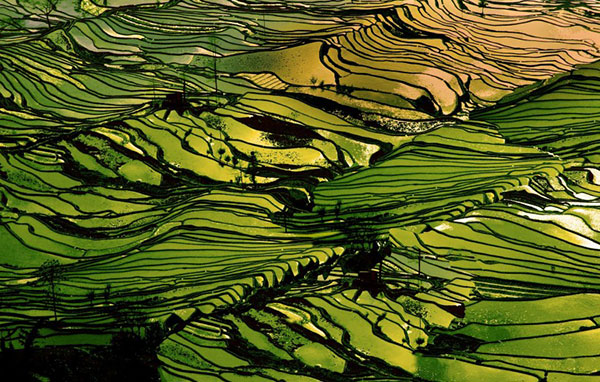 �_�� ���z�I�c�i����悤-���Ȃ��j