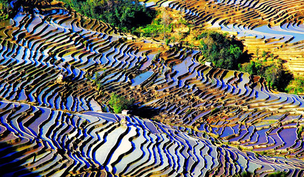 �_�� ���z�I�c�i����悤-���Ȃ��j