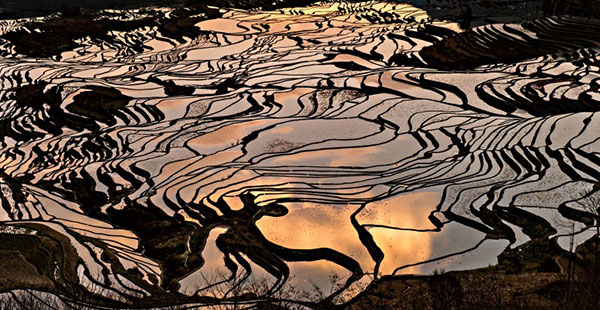 �_�� ���z�I�c�i����悤-���Ȃ��j