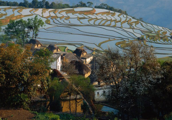 �_�� ���z�I�c�i����悤-���Ȃ��j