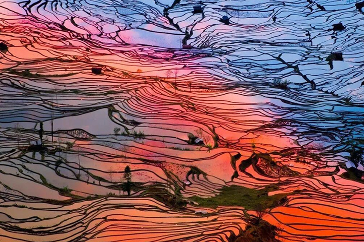 元陽棚田（紅河ハニ棚田）