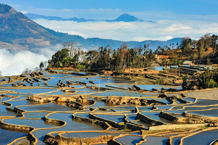 元陽棚田（紅河ハニ棚田）