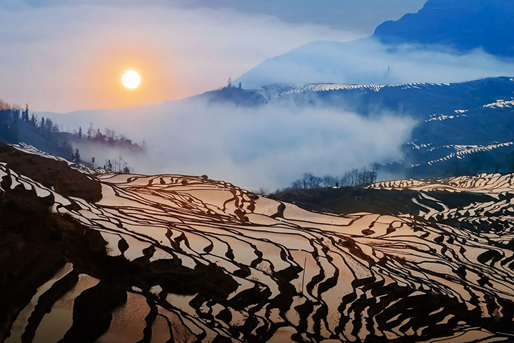 元陽棚田（紅河ハニ棚田）